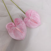 2pcs Anthurium Stem Pink 55cmH